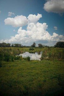田园草地间的蓝天白云美景