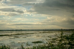 湿地黄昏美景