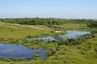 草原湿地风光美景