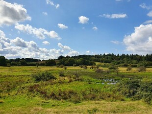 广阔原野蓝天白云美景
