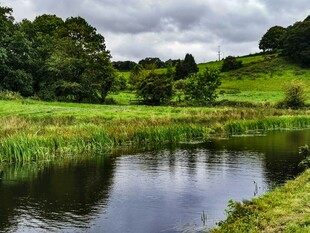 田园湖畔美景