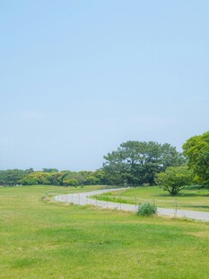 绿野间蜿蜒小路风景
