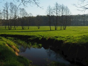 春日溪边绿野风光