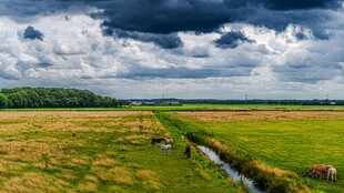 广袤田野间的沟渠风景