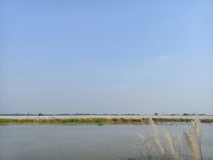 河畔风光