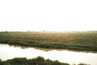 河畔晨光下的静谧原野