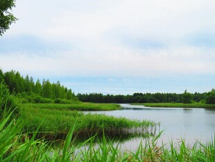 湖畔绿野风光
