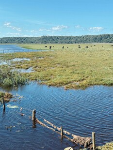 湖畔草地与木栅栏风景