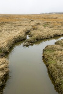 荒野中的蜿蜒小河