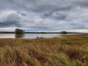 湖畔秋景 乌云下的草地