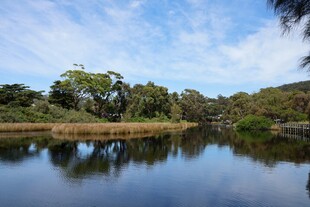宁静湖畔风光