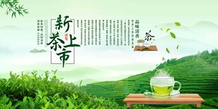 新茶上市