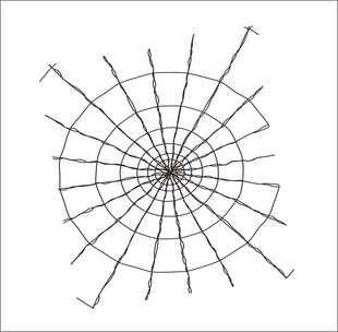 蛛网 矢量图形  手绘