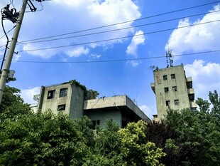 绿树环绕中的古老建筑