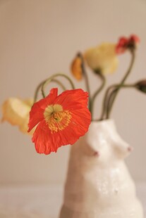 花瓶中绽放的鲜艳花朵