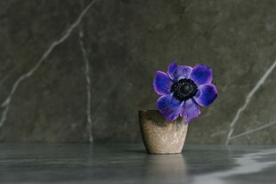 花瓶中绽放的紫色花朵