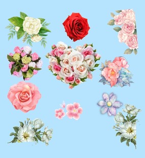 鲜花素材