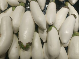 新鲜白茄子堆叠展示
