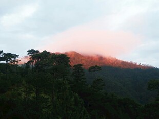 山间绚烂霞光映树林