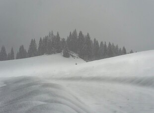雪覆山林的冬日景象