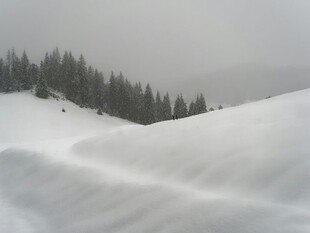 冬日雪景中的起伏雪坡