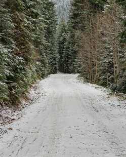 雪覆林间小道