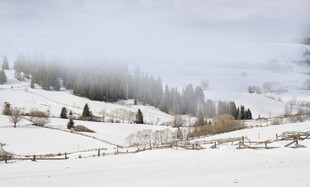 冬日雪景中的静谧村落