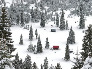 雪覆山林中的红黑小屋