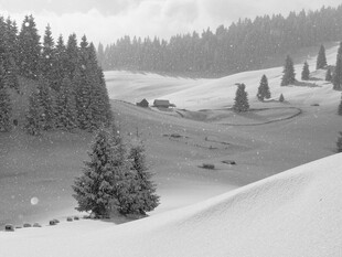 冬日雪覆山林美景