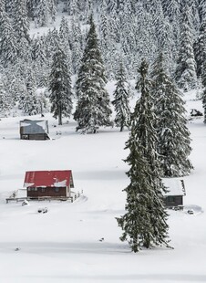 雪覆山林中的红顶小屋
