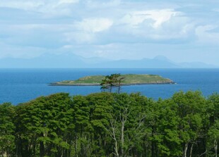海岛风光 绿树碧海蓝天