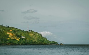 海岸边的绿意景致