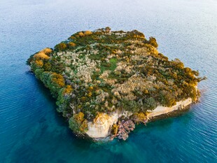 海上绿岛风光