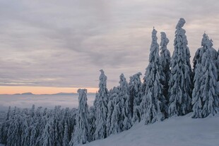 雪覆山林的壮丽冬日景象