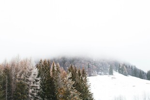 雪覆山林的静谧冬日景象