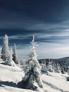 冬日雪覆山林美景