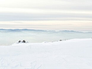 雪山顶上的壮阔云海景观