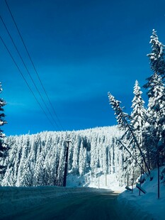 冬日雪覆山林美景