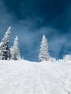 雪覆山林美景