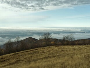 高山云海间的广袤草地