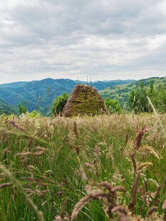 田野中的草垛与远山风景
