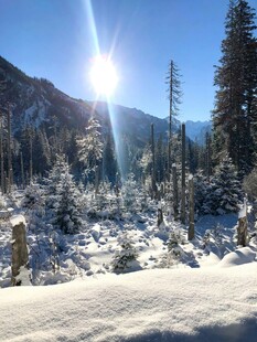 冬日山林雪景阳光洒落