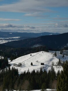 冬日雪山松林美景