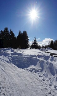 冬日雪野阳光闪耀美景