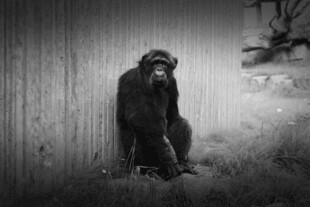 孤独身影倚靠墙边