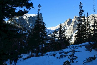 雪山松林美景
