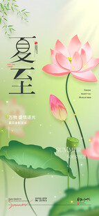 传统24节气夏至荷花夏至海报