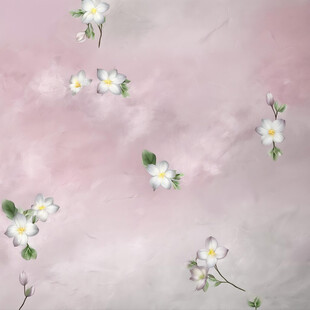 粉色背景上的清新小白花
