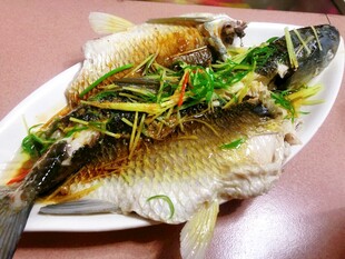 清蒸鱼