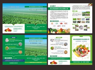 蔬菜基地折页